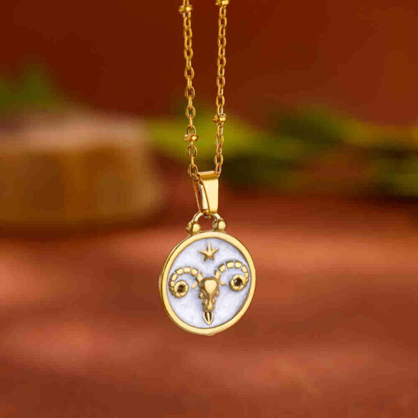 12 Constellation Stainless Steel Necklace Female Light Luxury Minority - Image 10