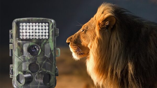 Wild hunting camera - Image 5