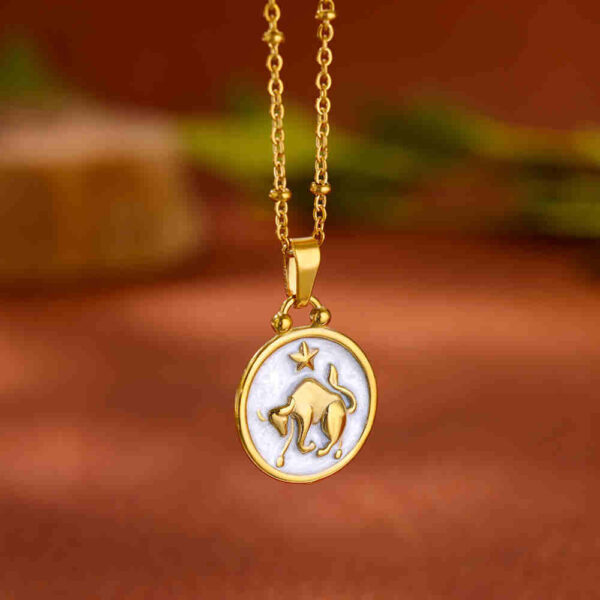 12 Constellation Stainless Steel Necklace Female Light Luxury Minority - Image 5